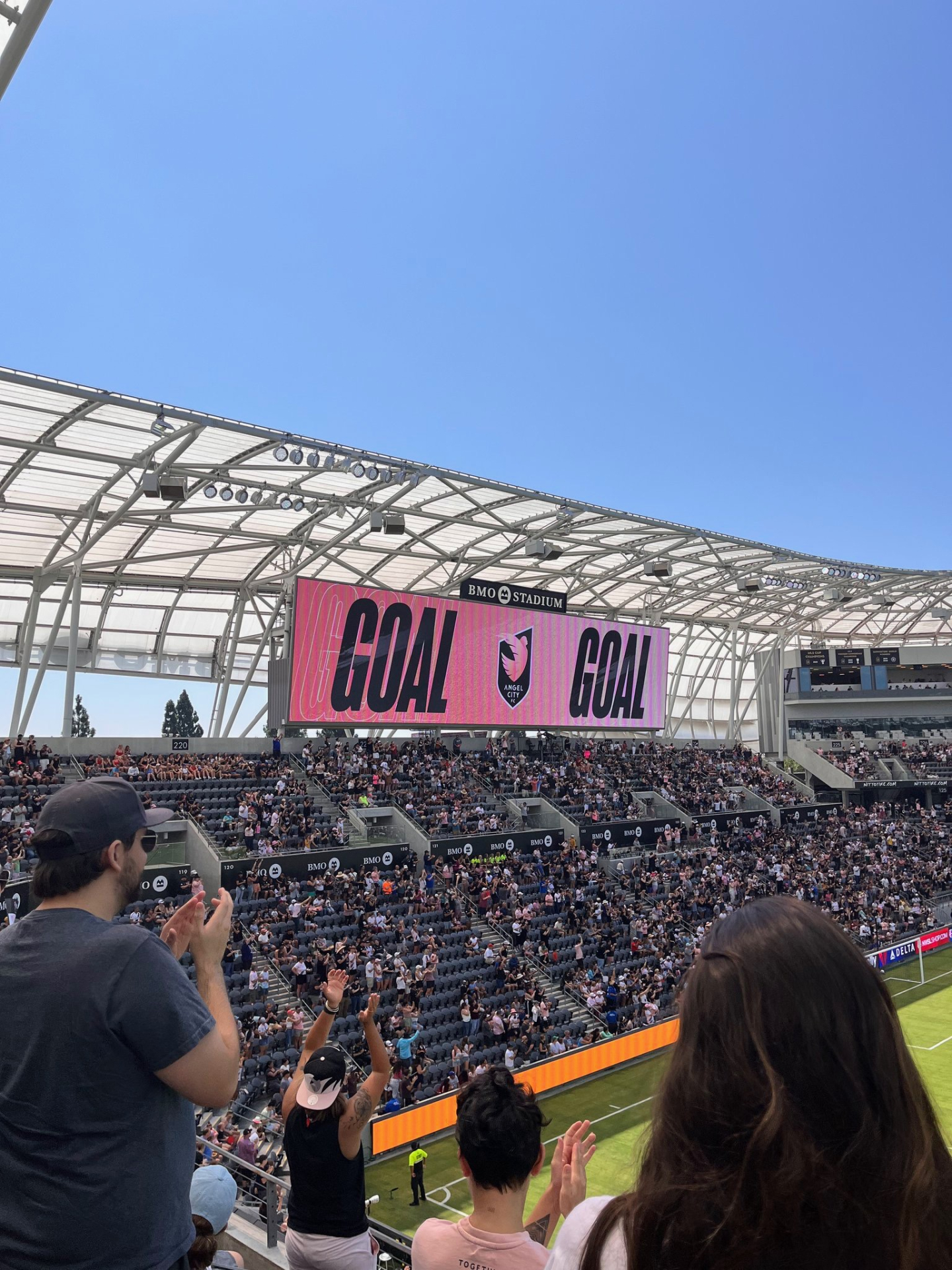 Cheering for Goal at Soccer game