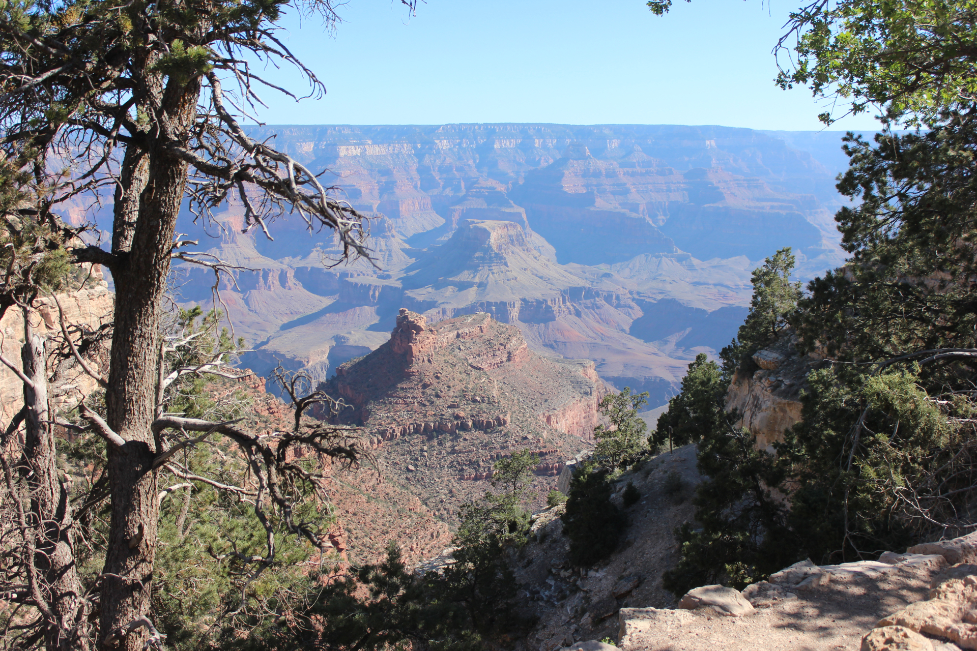 looking into Grand Canyon