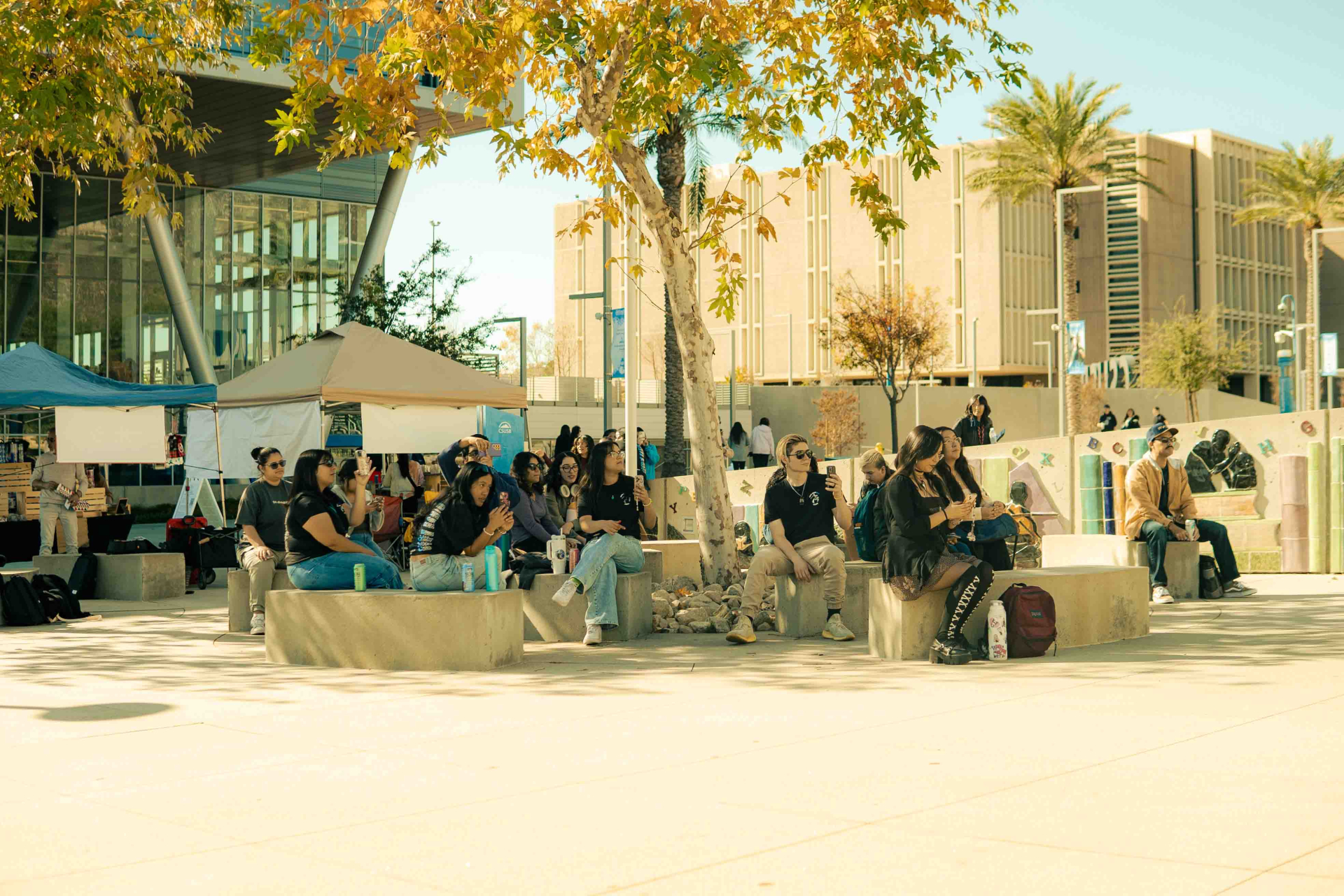 LL November 24 photo 2