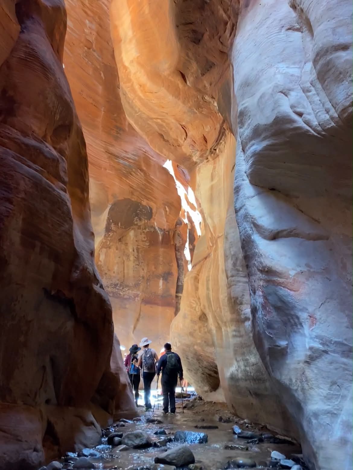 walking in creek of Kanarra creek