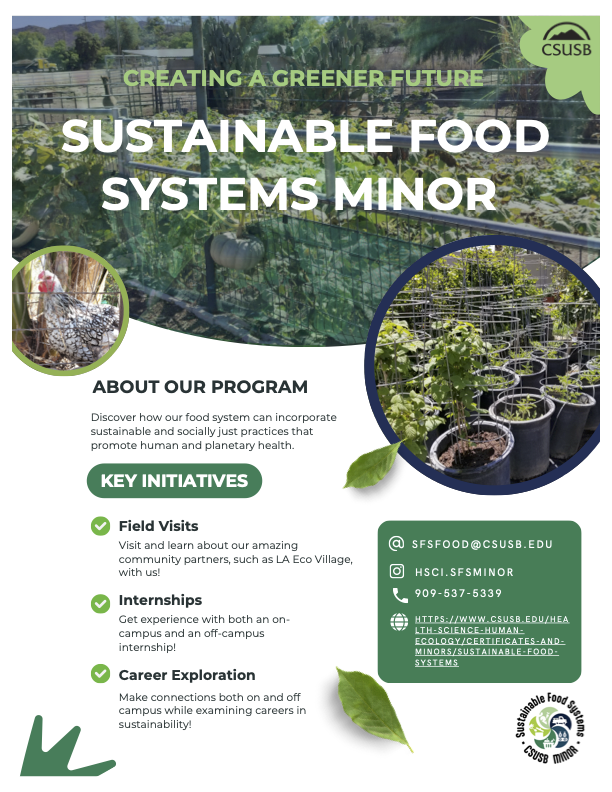 Flyer of SFS Minor Program Introduction