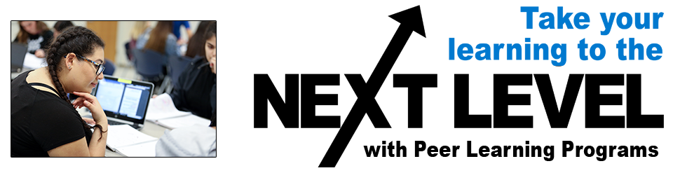 Take your learning to the Next Level with Peer Learning Programs