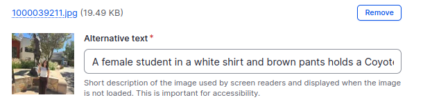 Alternative Text for Blog Entry