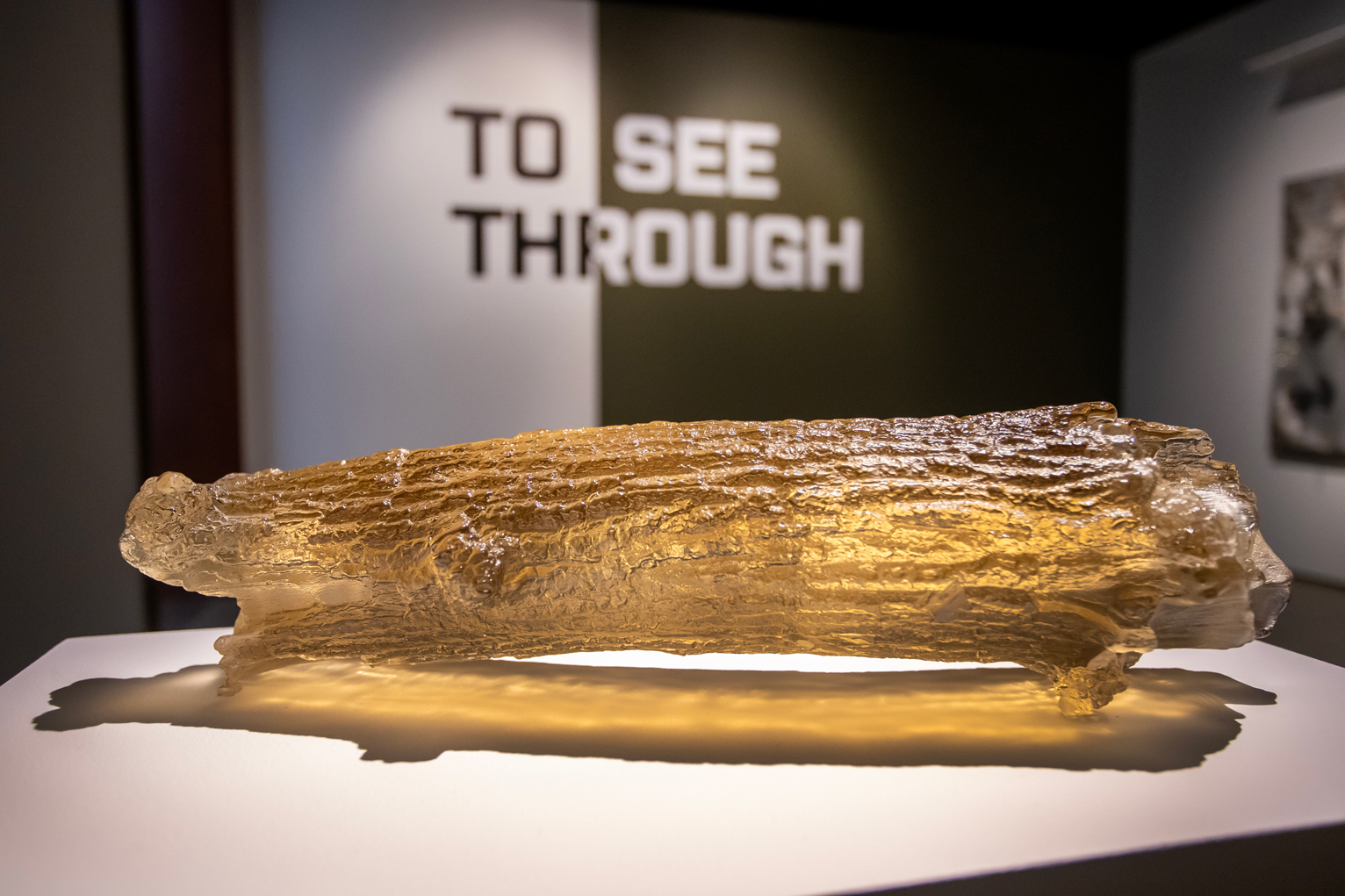 RAFFMA Community Day celebrated the opening of “To See Through,” a national juried exhibition curated by internationally recognized glass artist and CSUSB professor, Katherine Gray.