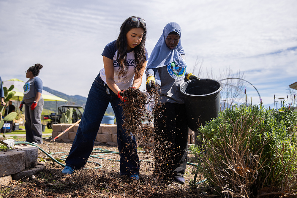 Coyote Cares Day volunteers