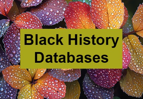  Black History Databases. Very colorful leaves are covered in droplets of dew.