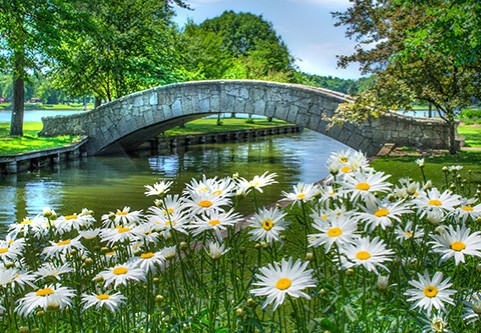 A gracefully arched stone bridge spans a stream in a garden.