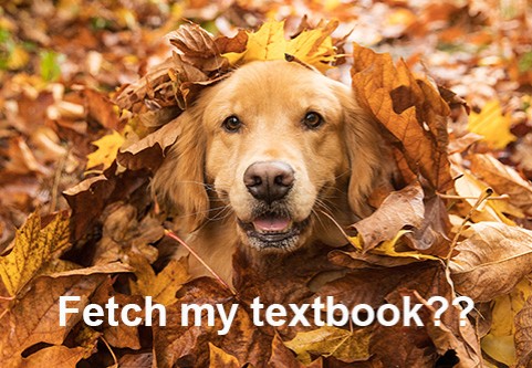 Fetch my textbook?? A golden retriever in a pile of fall leaves.