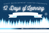 12 Days of Learning