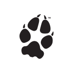 Coyote pawprint