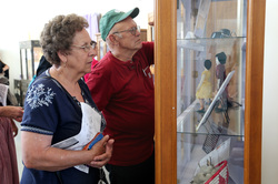 Anthropology museum goers