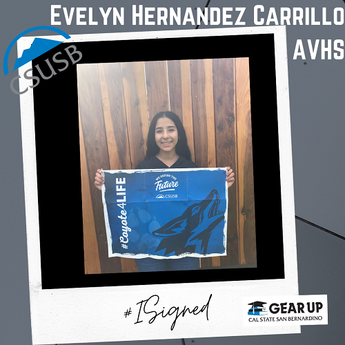 Evelyn Hernadez Carrillo