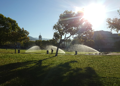 Campus Sprinklers