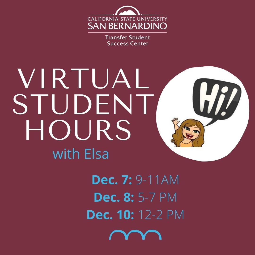 Virtual Student Hours with Elsa