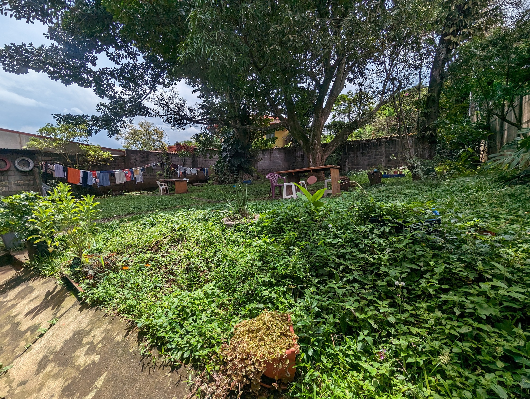 Backyard with table and clothesline