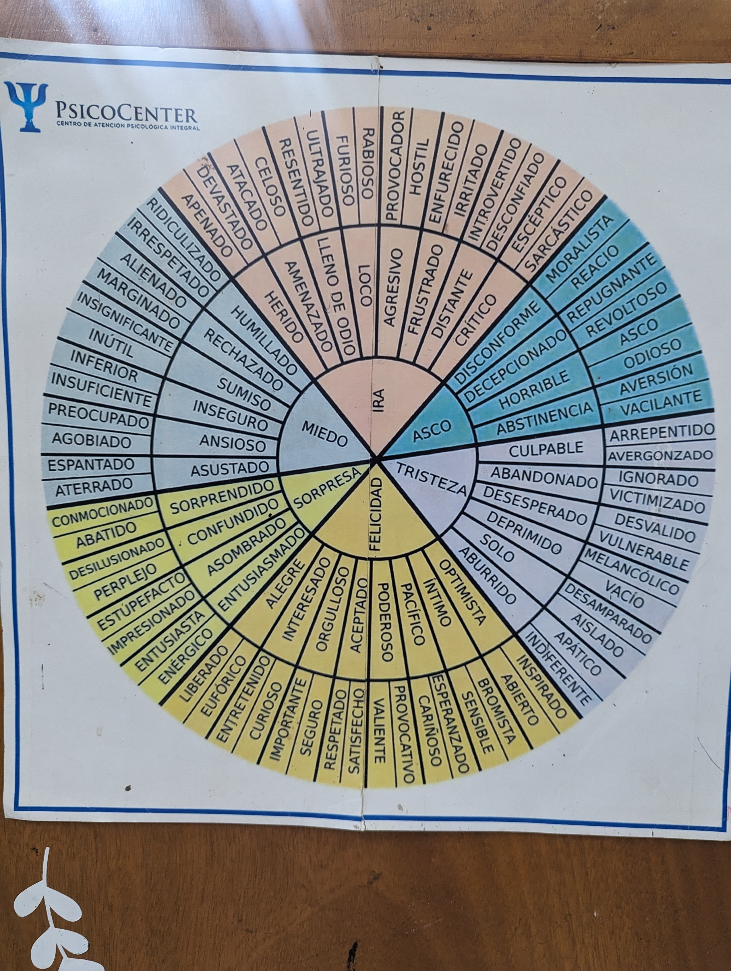 Chart showing Spanish health terms