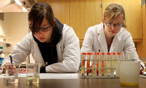 Students Working in the Lab