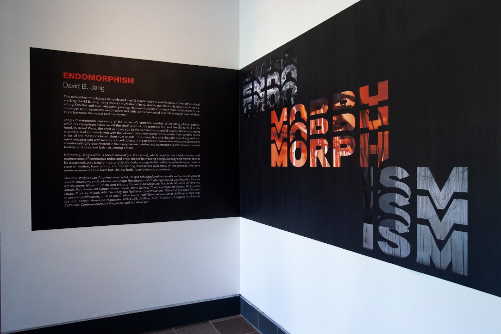 Endomorphism art