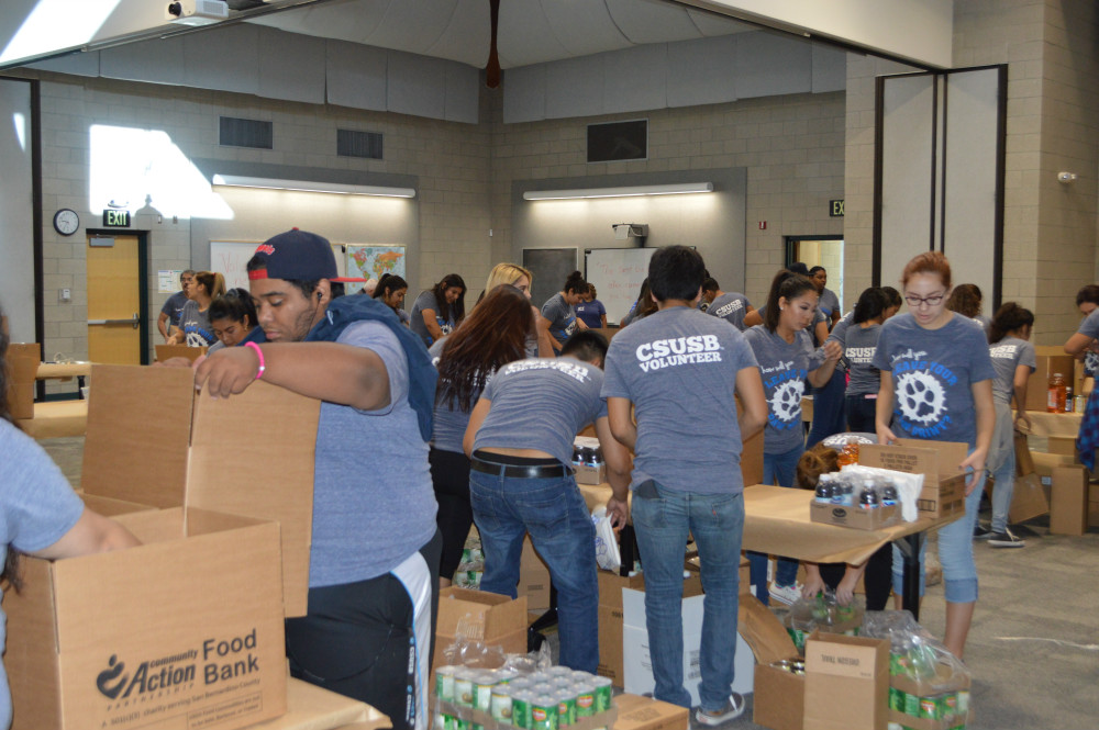 Make A Difference Day 2016 Gallery 1