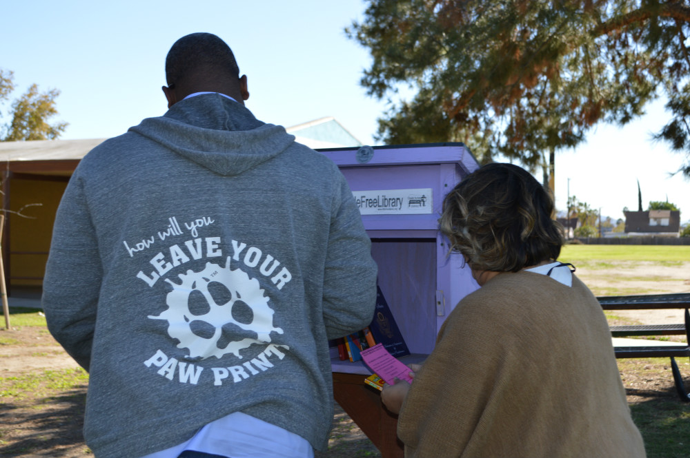 Little Libraries - Nov 2016 Gallery 6