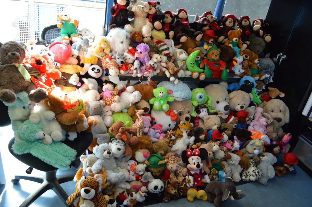Teddy Bear Drive 2016 Gallery 2