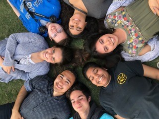 Students lounging in the grass