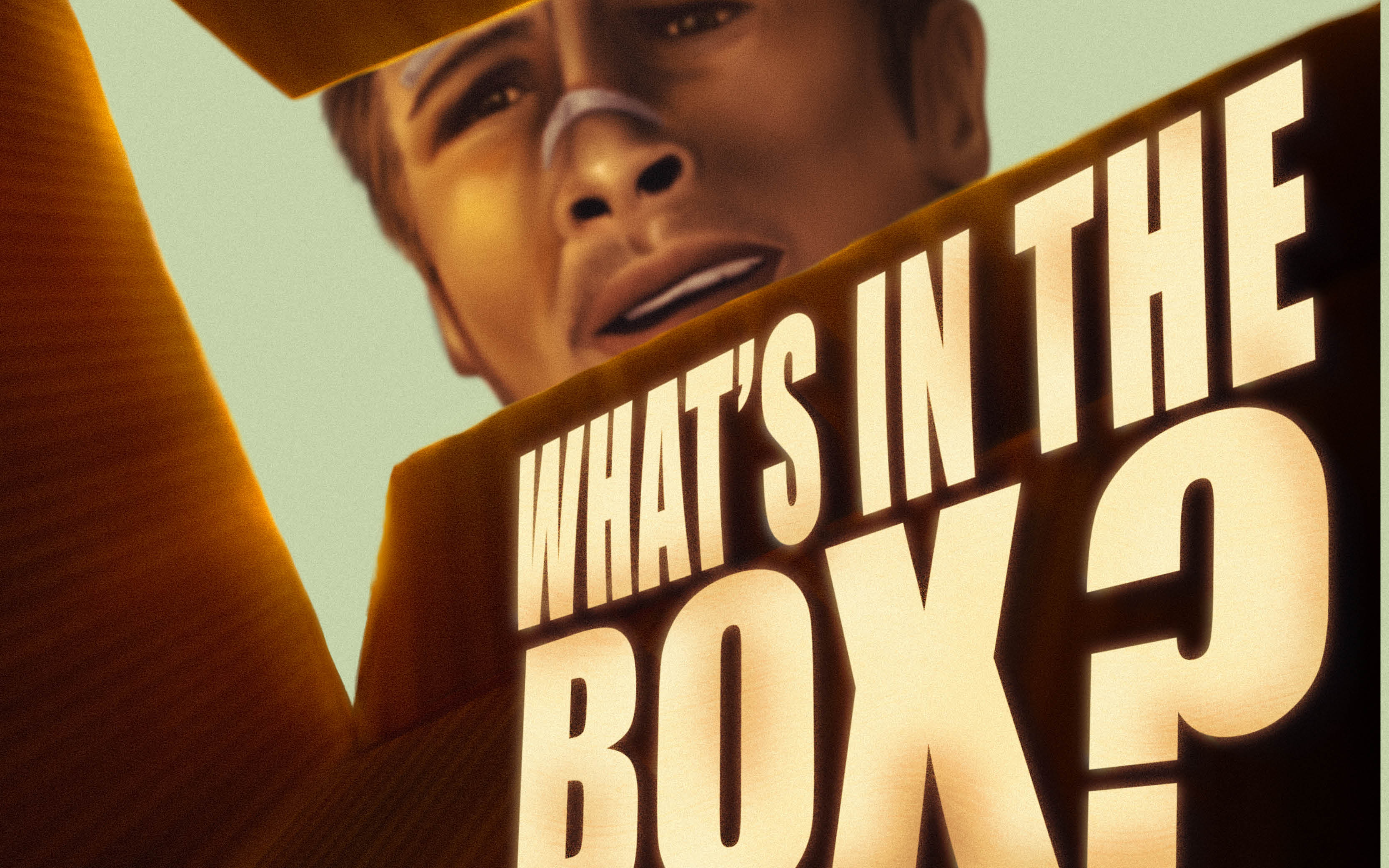 What's in the Box?