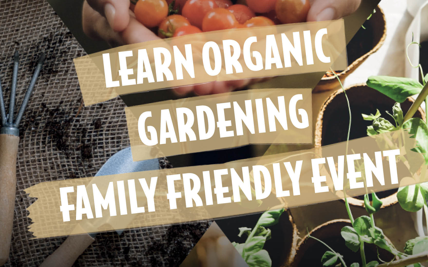 Learn Organic Gardening Family Friendly Event