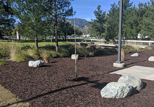 CSUSB Mulch Garden