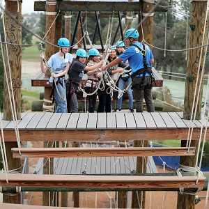 Students on the campus ropes course