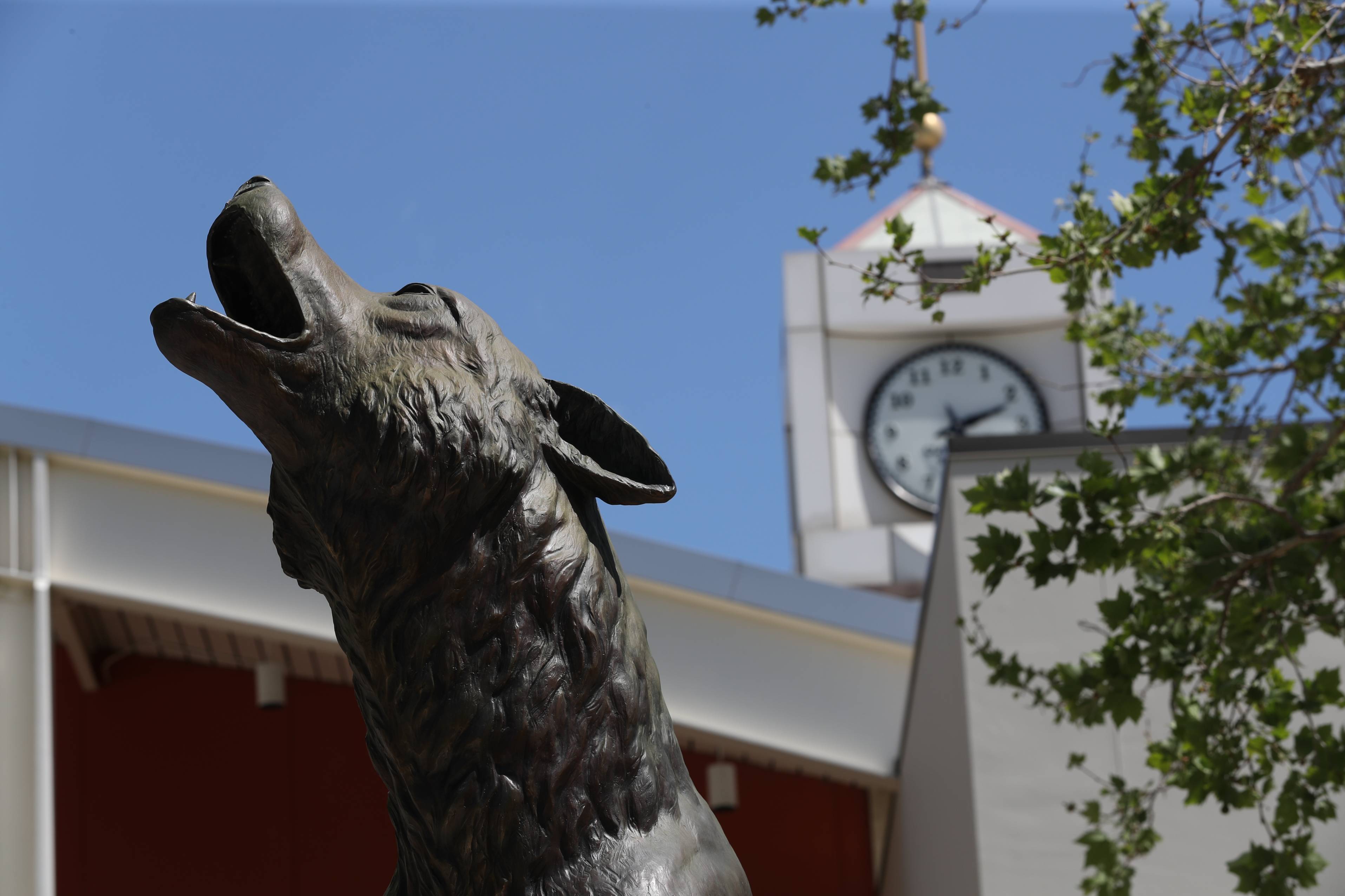 wild song and clock tower