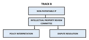 TRACK B - Non-patentable IP, Intellectual property review committee, policy interpretation, dispute resolutions