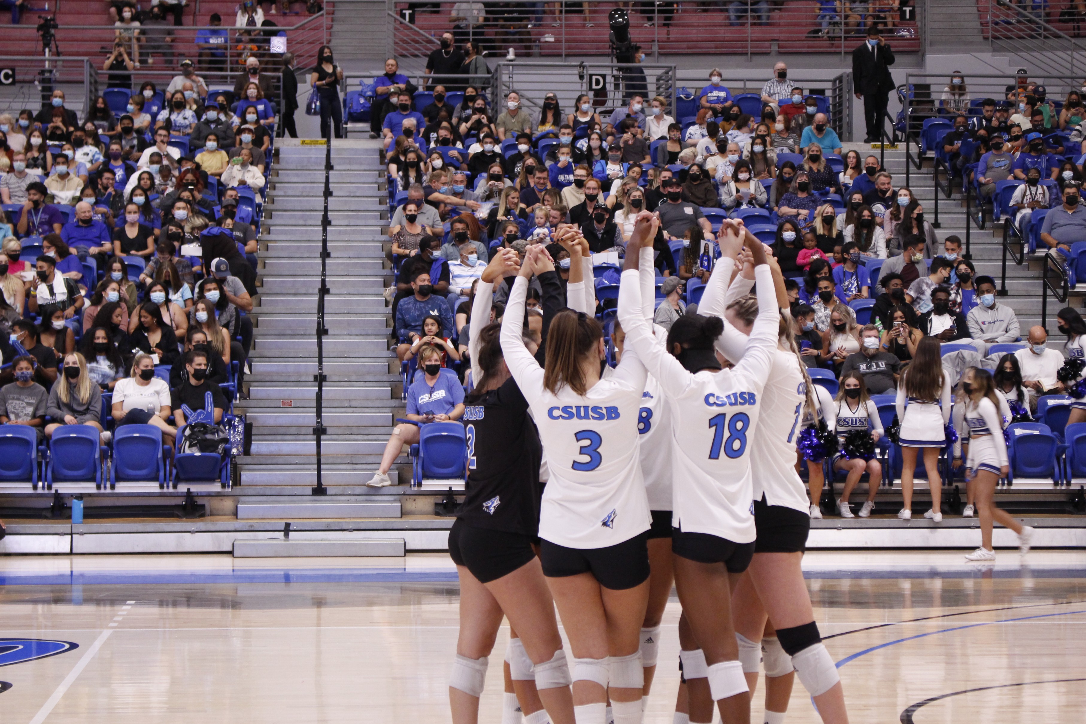 Volleyball team huddle