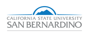 California State University San Bernardino-Rehabilitation Counseling
