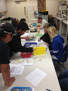 students working in lab