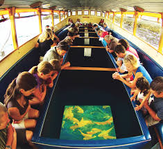 Glass bottom boat