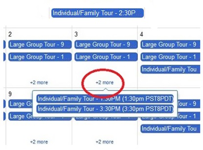 Click the 2+ more llink to see additional available tours