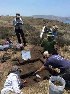 field work