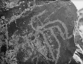 Bird petroglyph photographed in Black Canyon by Charley Howe in 1952.