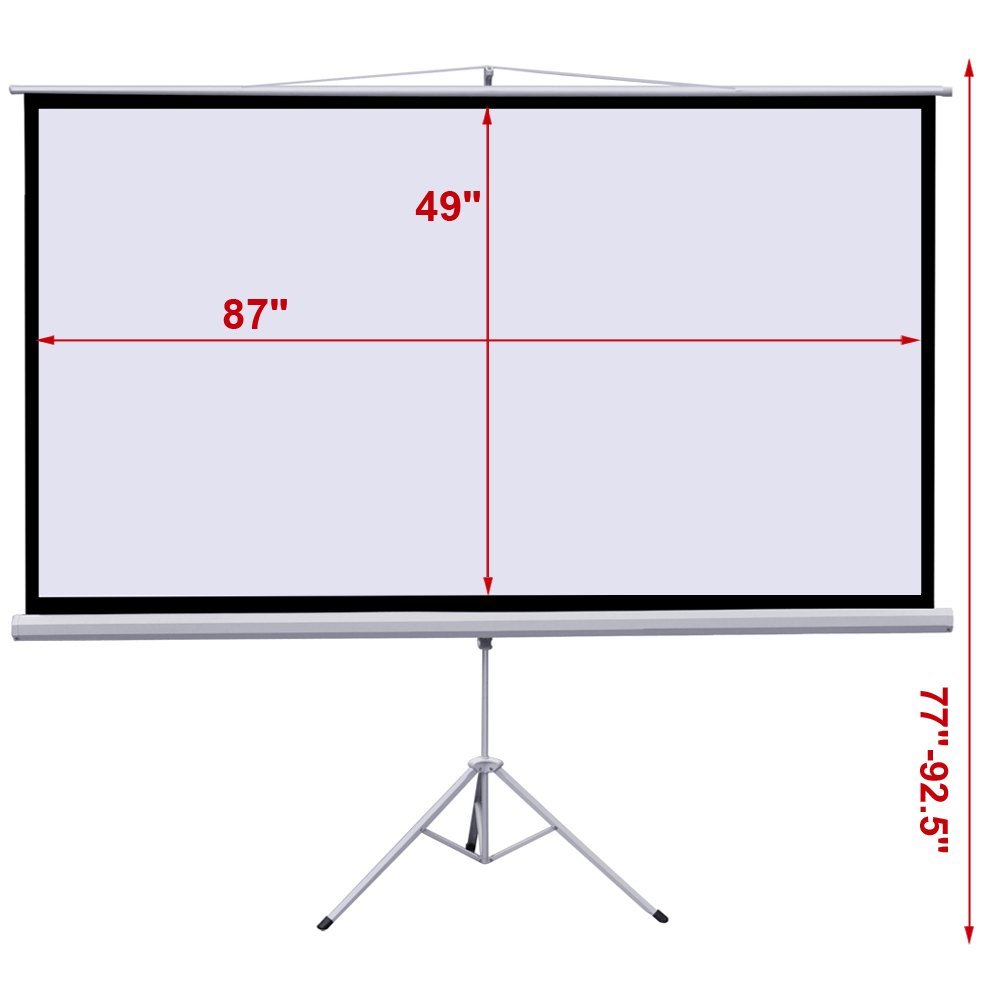 Portable 100" Projection Screen
