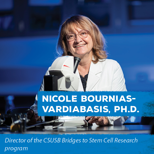 Nicole Bournias-Vardiabasis, Ph.d - Director of the CSUSB Bridges to Stem Cell Research program