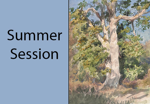 Summer Session