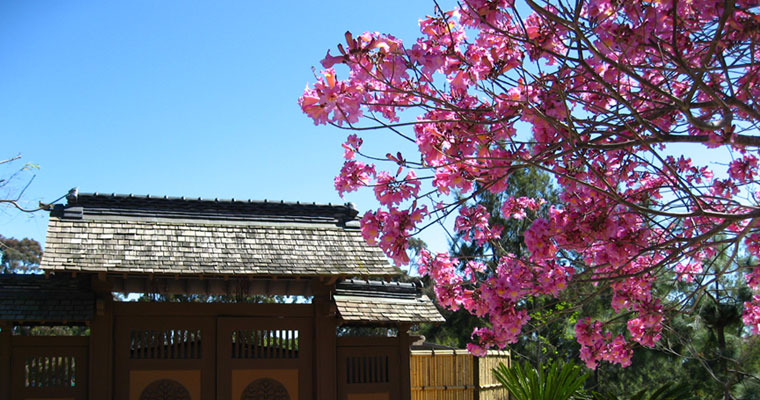 Gate and Tree