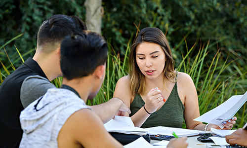 students working on a project