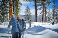 yosemite winter 