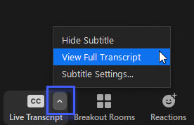 Live Transcript button with View Full Transcript option emphasized 