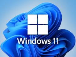 Windows 11 Logo